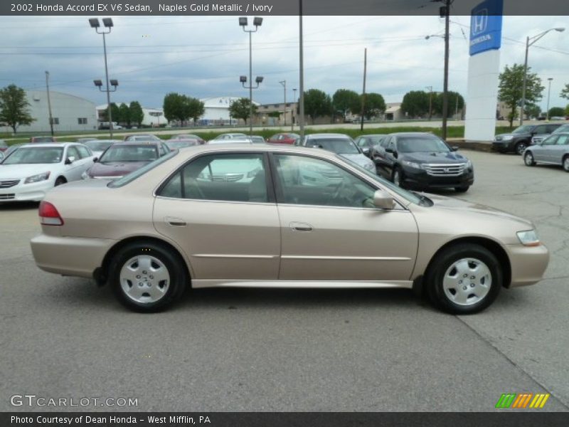 Naples Gold Metallic / Ivory 2002 Honda Accord EX V6 Sedan