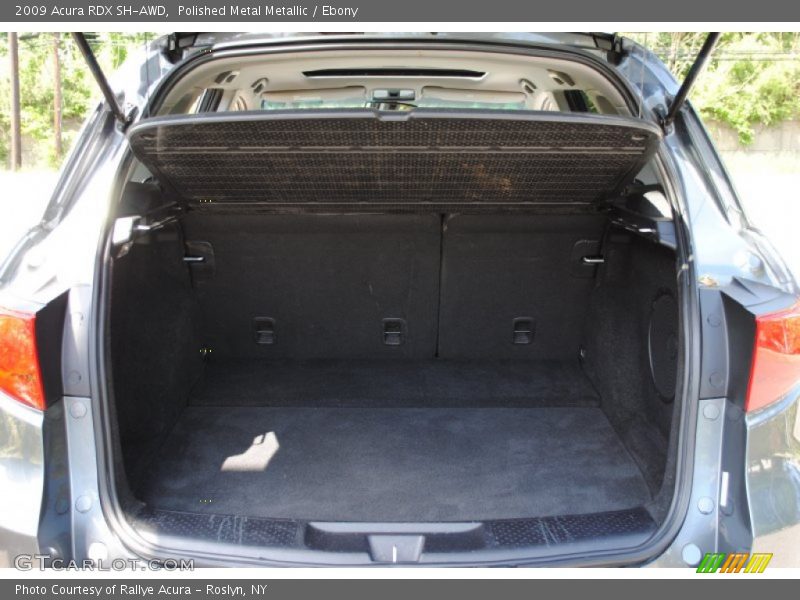 Polished Metal Metallic / Ebony 2009 Acura RDX SH-AWD