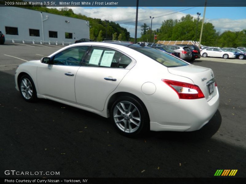 Winter Frost White / Frost Leather 2009 Nissan Maxima 3.5 SV