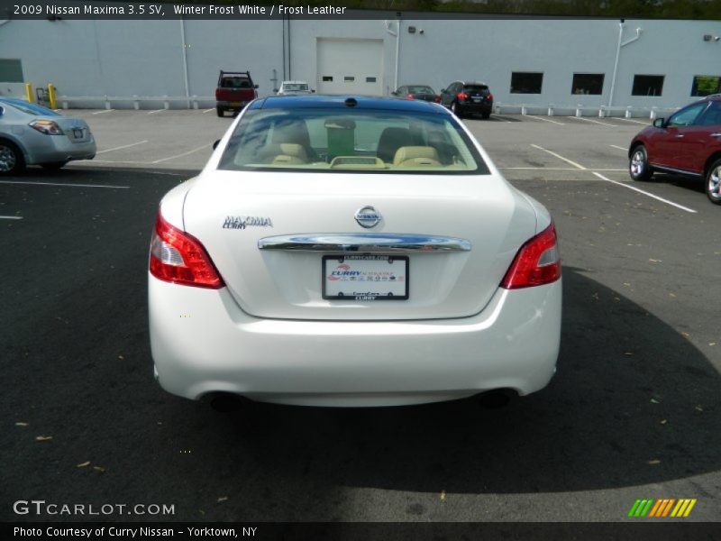 Winter Frost White / Frost Leather 2009 Nissan Maxima 3.5 SV