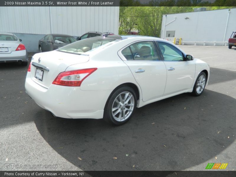 Winter Frost White / Frost Leather 2009 Nissan Maxima 3.5 SV