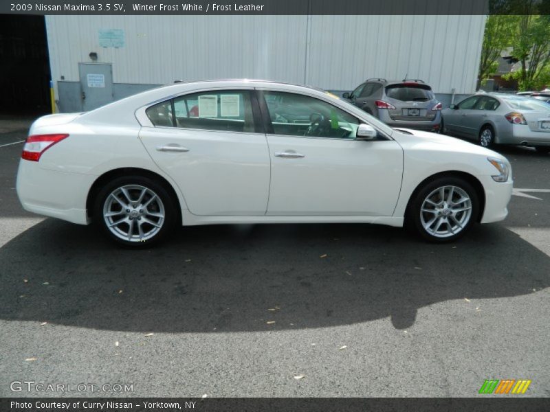 Winter Frost White / Frost Leather 2009 Nissan Maxima 3.5 SV