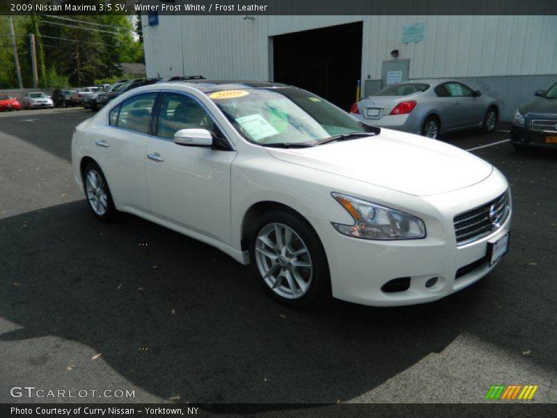 Winter Frost White / Frost Leather 2009 Nissan Maxima 3.5 SV