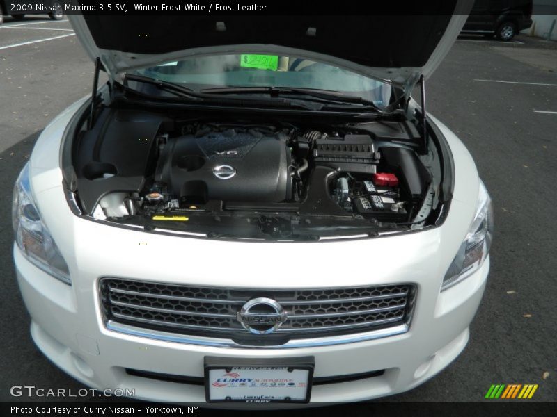 Winter Frost White / Frost Leather 2009 Nissan Maxima 3.5 SV
