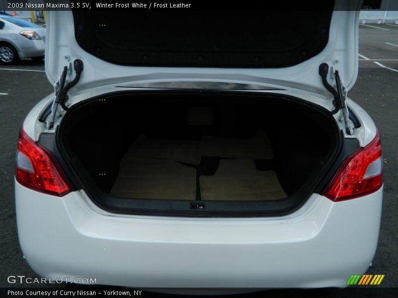 Winter Frost White / Frost Leather 2009 Nissan Maxima 3.5 SV
