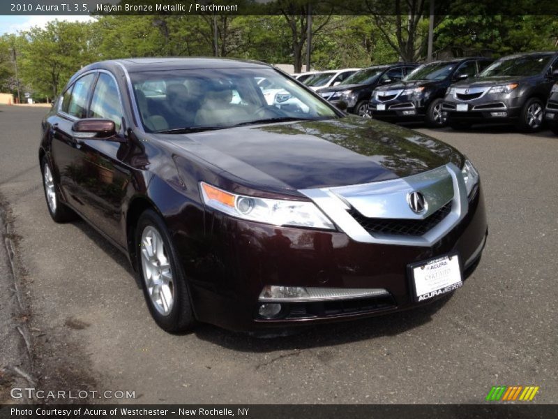 Mayan Bronze Metallic / Parchment 2010 Acura TL 3.5