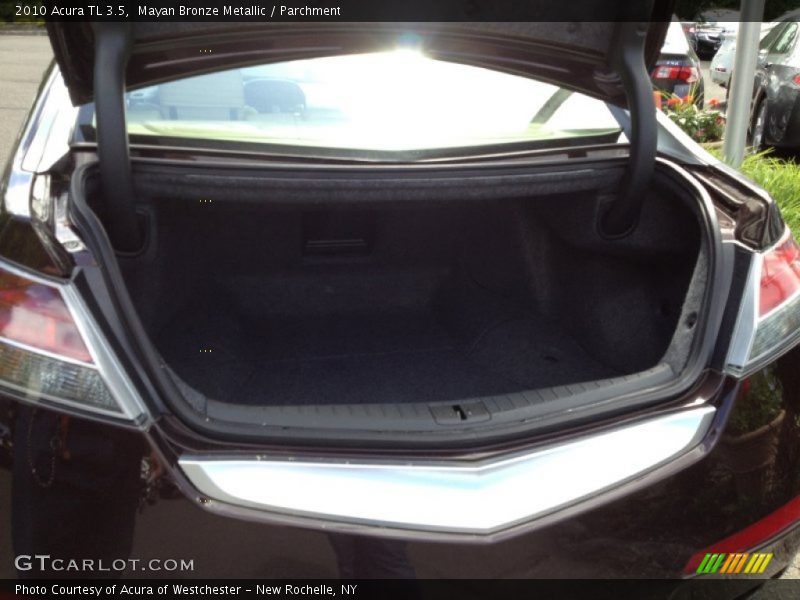 Mayan Bronze Metallic / Parchment 2010 Acura TL 3.5