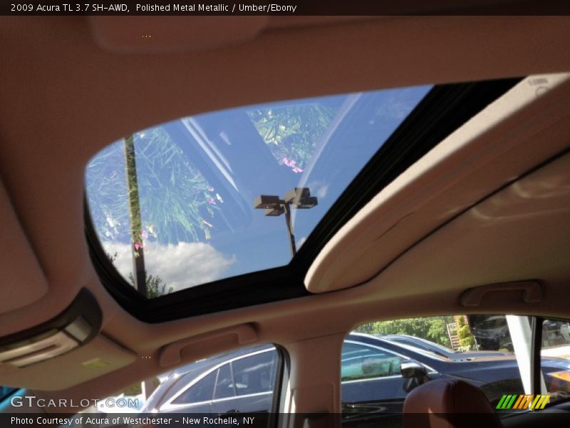 Polished Metal Metallic / Umber/Ebony 2009 Acura TL 3.7 SH-AWD