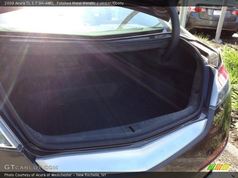 Polished Metal Metallic / Umber/Ebony 2009 Acura TL 3.7 SH-AWD