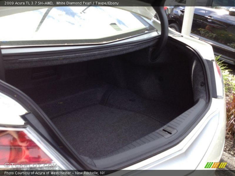 White Diamond Pearl / Taupe/Ebony 2009 Acura TL 3.7 SH-AWD