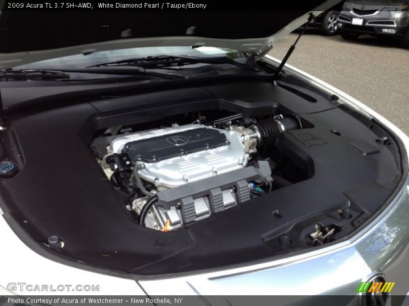 White Diamond Pearl / Taupe/Ebony 2009 Acura TL 3.7 SH-AWD