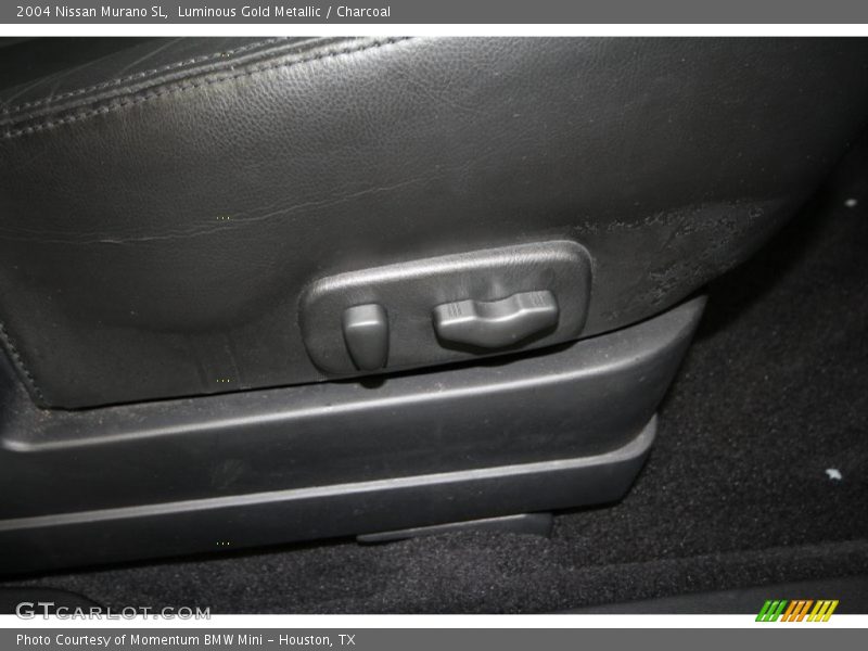Luminous Gold Metallic / Charcoal 2004 Nissan Murano SL
