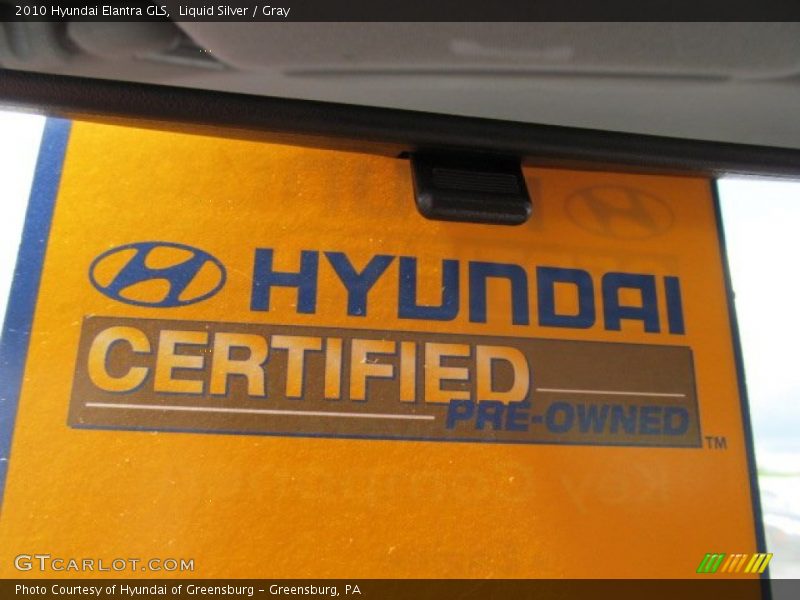 Liquid Silver / Gray 2010 Hyundai Elantra GLS