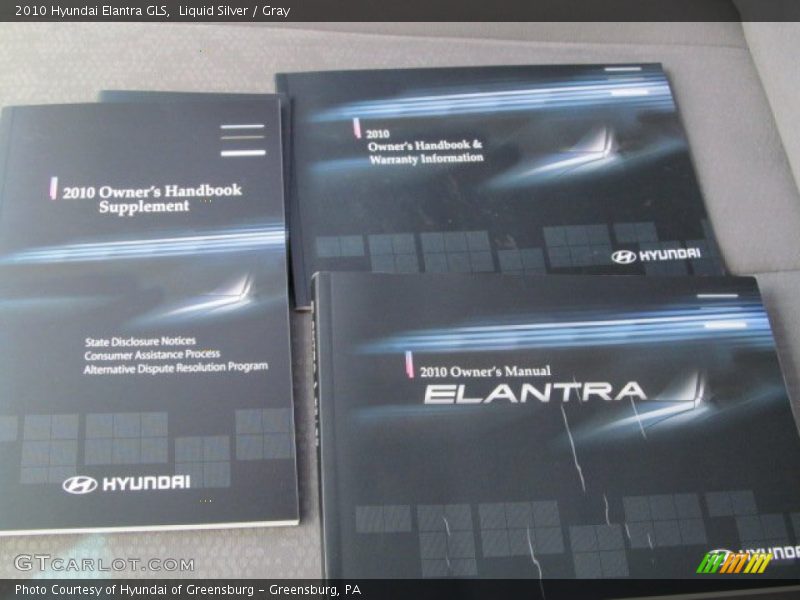 Liquid Silver / Gray 2010 Hyundai Elantra GLS