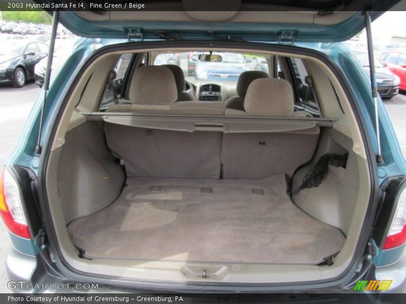 Pine Green / Beige 2003 Hyundai Santa Fe I4