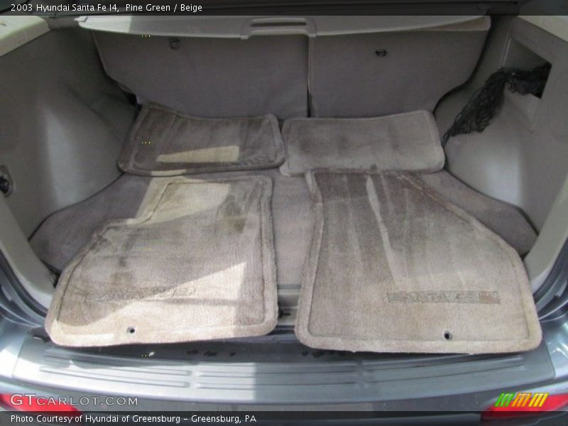 Pine Green / Beige 2003 Hyundai Santa Fe I4