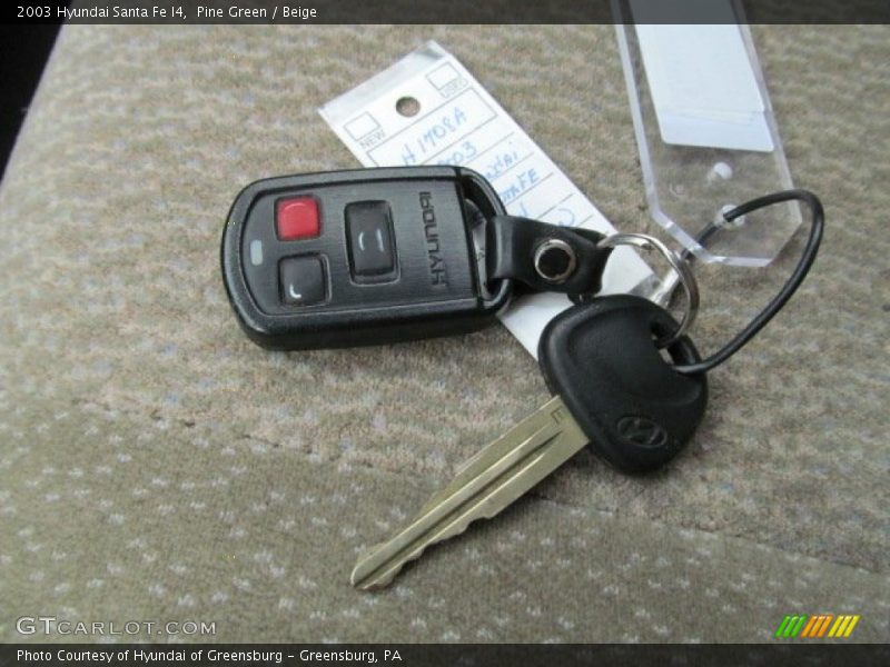 Pine Green / Beige 2003 Hyundai Santa Fe I4