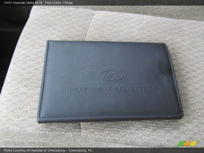 Pine Green / Beige 2003 Hyundai Santa Fe I4