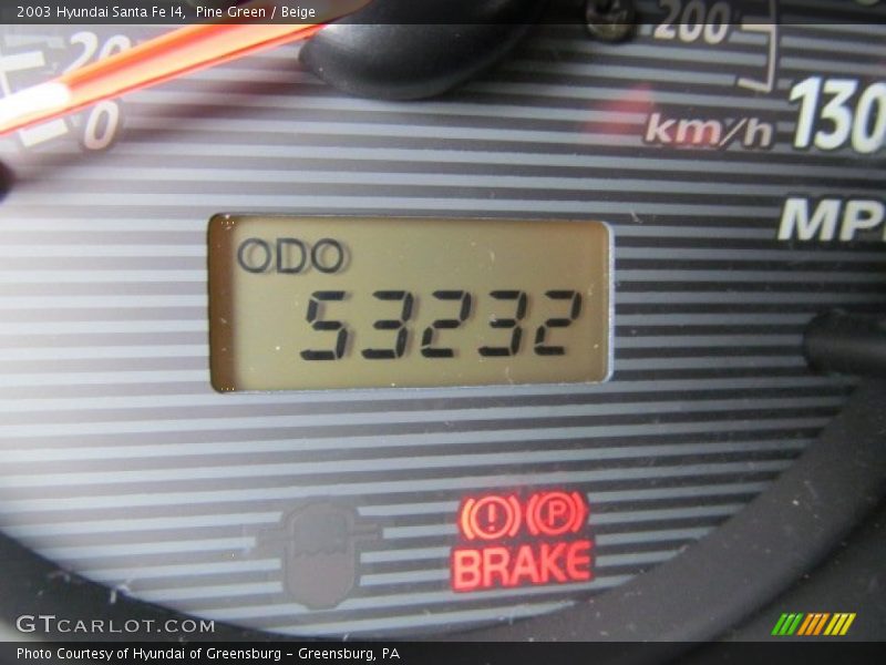 Pine Green / Beige 2003 Hyundai Santa Fe I4