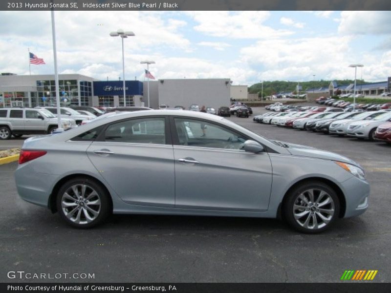 Iridescent Silver Blue Pearl / Black 2013 Hyundai Sonata SE