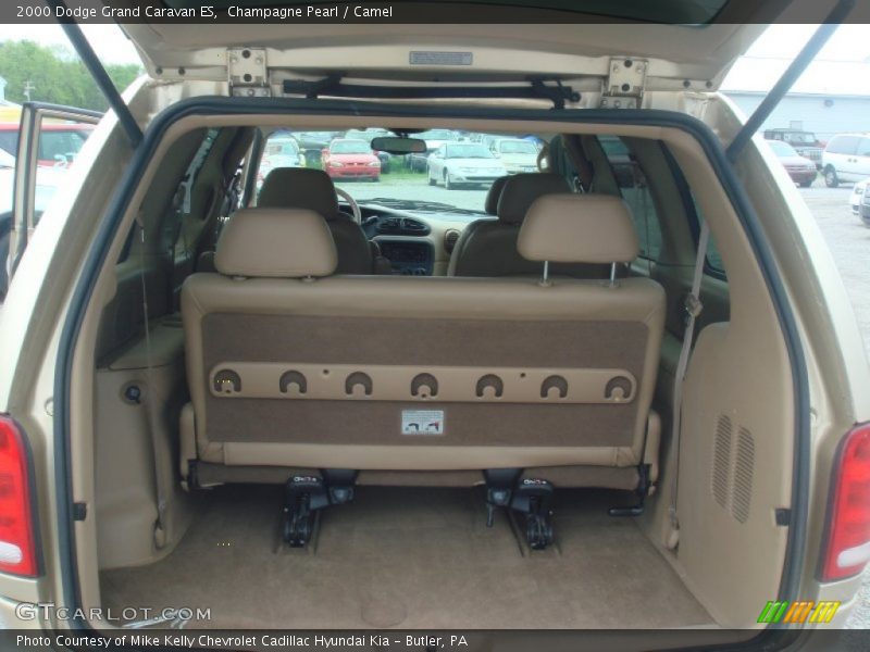Champagne Pearl / Camel 2000 Dodge Grand Caravan ES