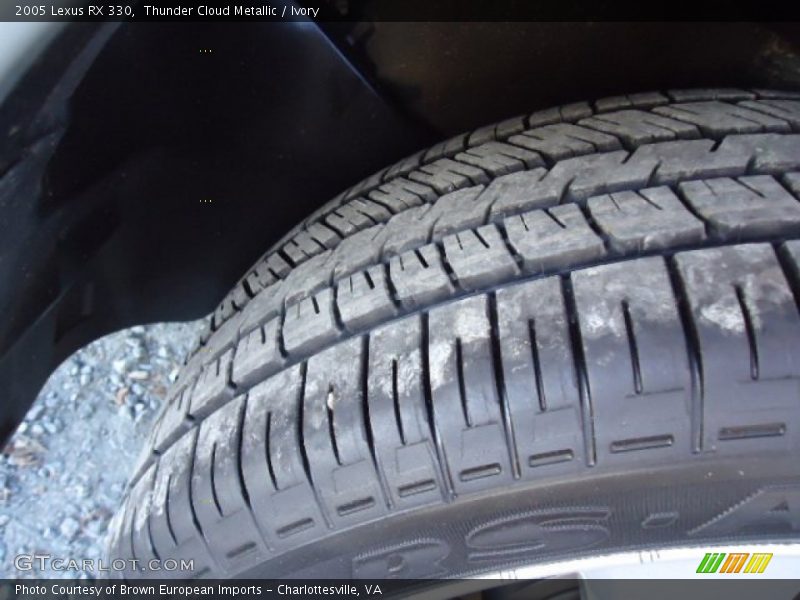 Thunder Cloud Metallic / Ivory 2005 Lexus RX 330