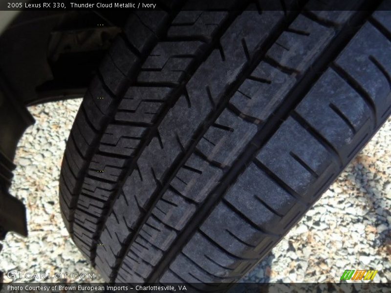 Thunder Cloud Metallic / Ivory 2005 Lexus RX 330