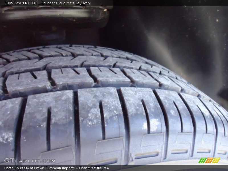 Thunder Cloud Metallic / Ivory 2005 Lexus RX 330