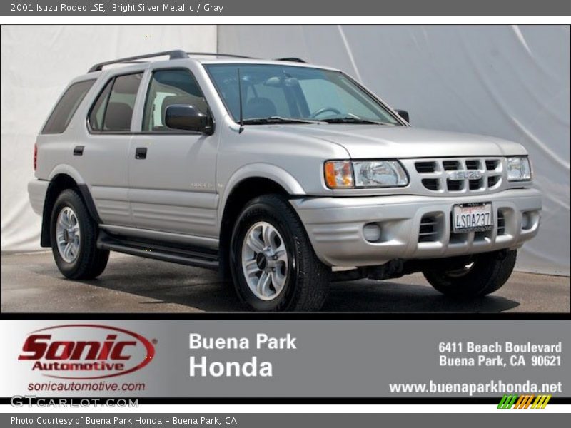 Bright Silver Metallic / Gray 2001 Isuzu Rodeo LSE