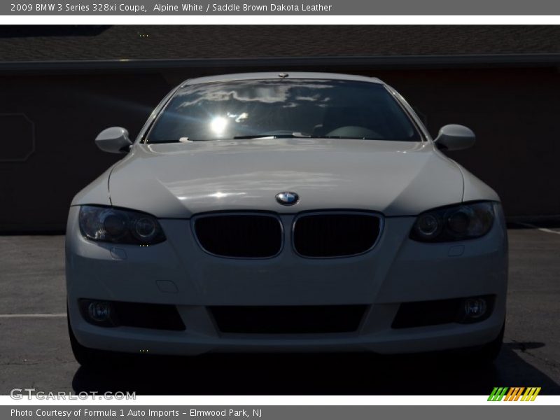 Alpine White / Saddle Brown Dakota Leather 2009 BMW 3 Series 328xi Coupe