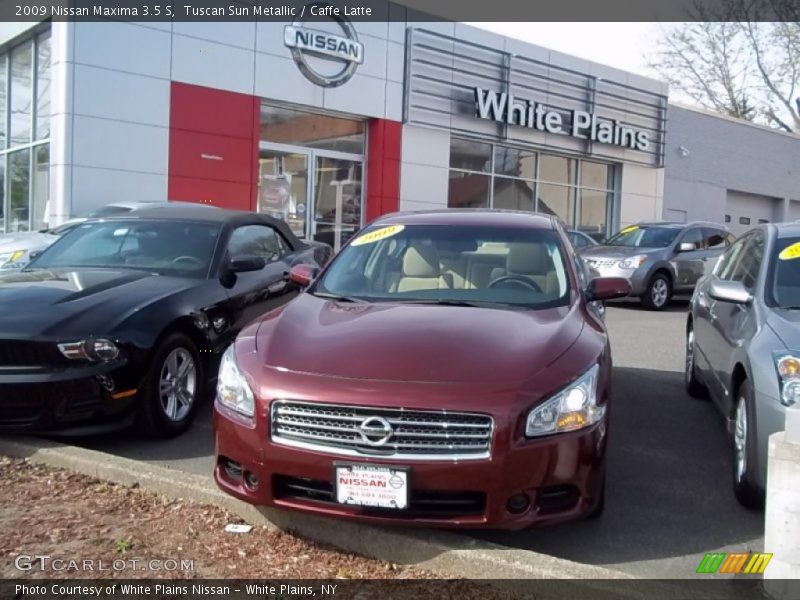 Tuscan Sun Metallic / Caffe Latte 2009 Nissan Maxima 3.5 S