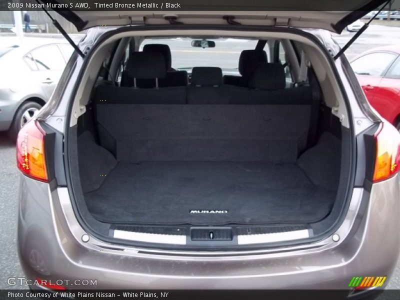 Tinted Bronze Metallic / Black 2009 Nissan Murano S AWD