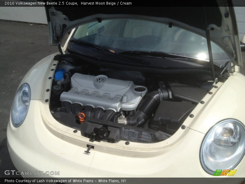 Harvest Moon Beige / Cream 2010 Volkswagen New Beetle 2.5 Coupe