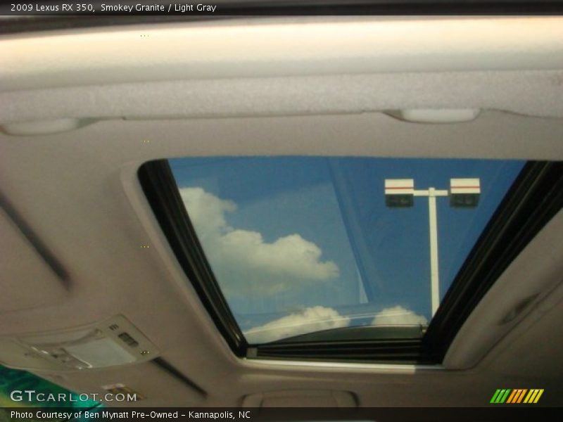 Smokey Granite / Light Gray 2009 Lexus RX 350