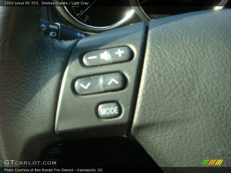 Smokey Granite / Light Gray 2009 Lexus RX 350