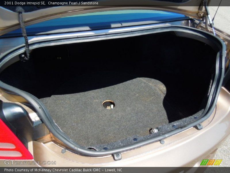 Champagne Pearl / Sandstone 2001 Dodge Intrepid SE