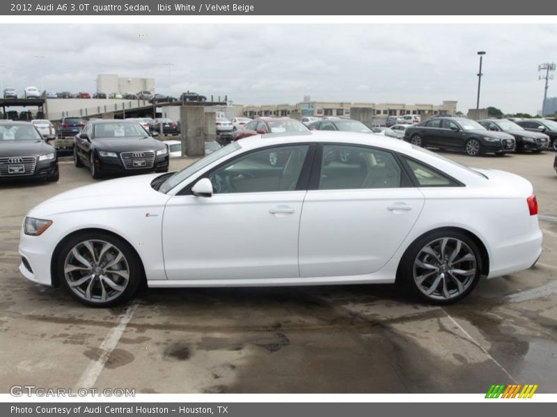 Ibis White / Velvet Beige 2012 Audi A6 3.0T quattro Sedan