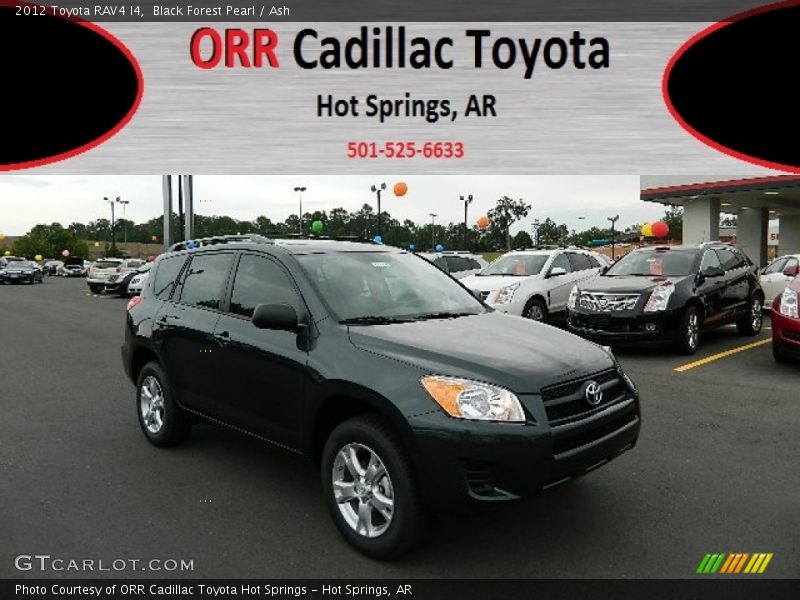 Black Forest Pearl / Ash 2012 Toyota RAV4 I4