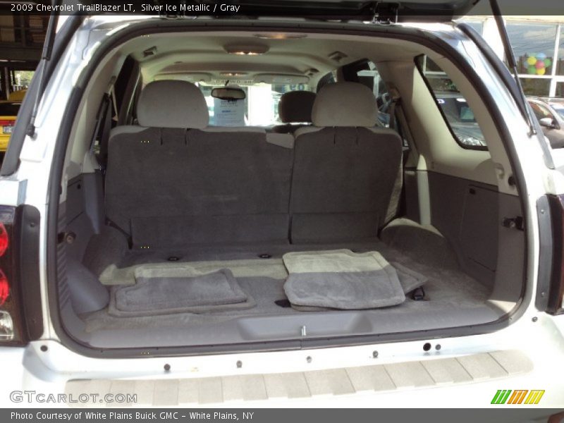 Silver Ice Metallic / Gray 2009 Chevrolet TrailBlazer LT