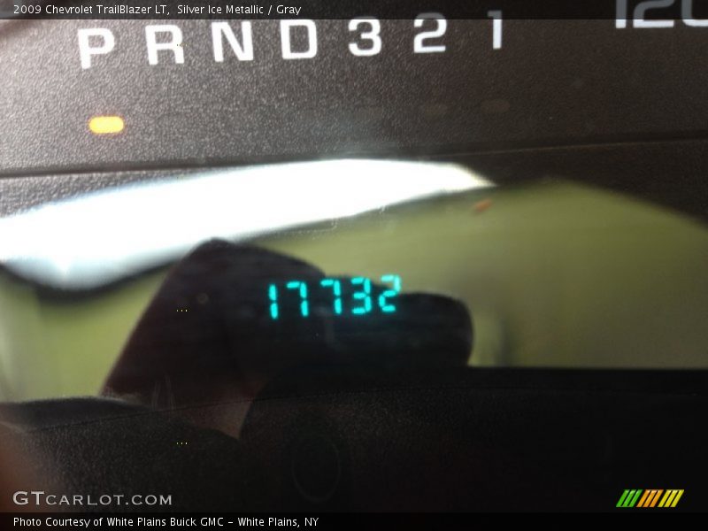 Silver Ice Metallic / Gray 2009 Chevrolet TrailBlazer LT