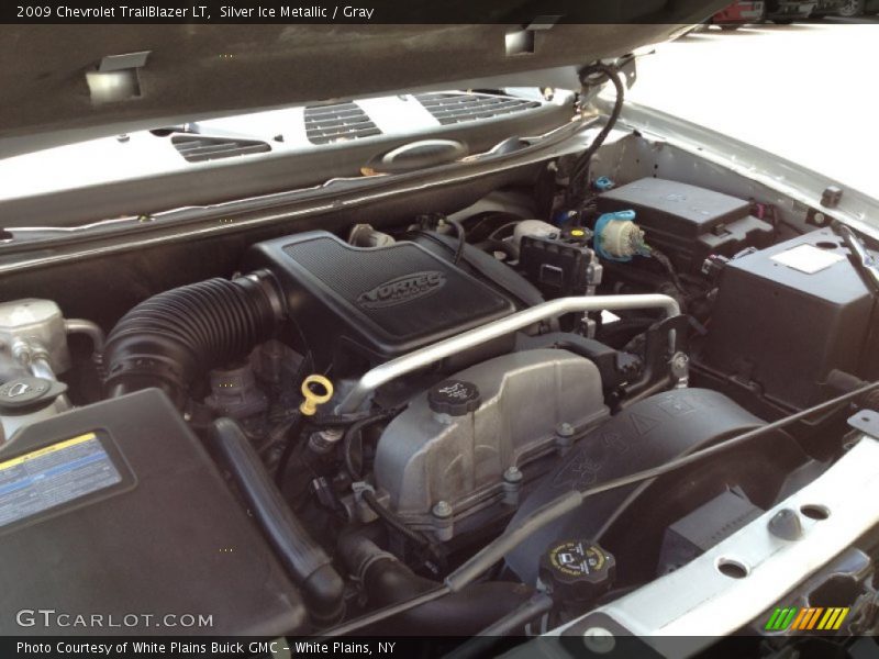 Silver Ice Metallic / Gray 2009 Chevrolet TrailBlazer LT