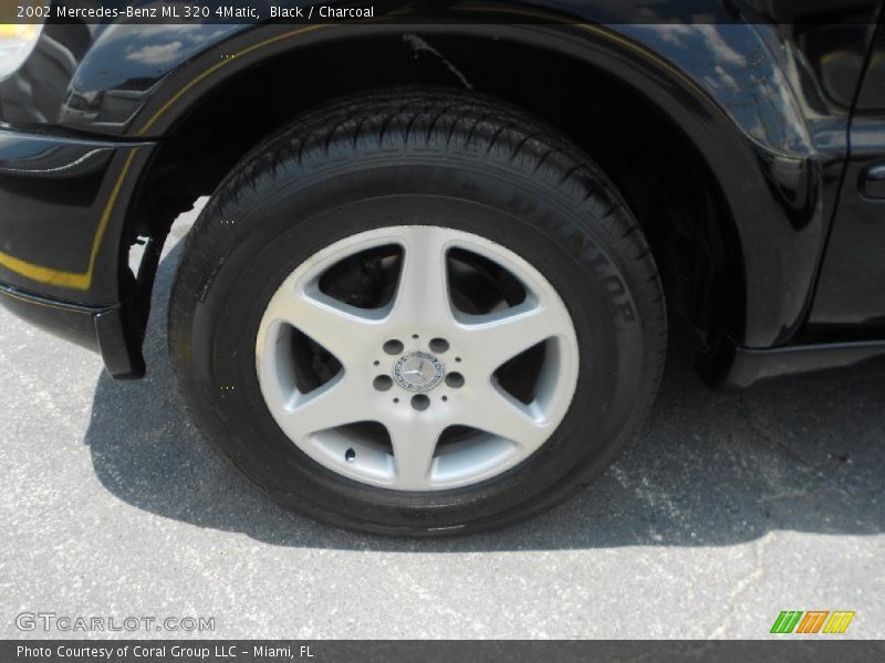 Black / Charcoal 2002 Mercedes-Benz ML 320 4Matic