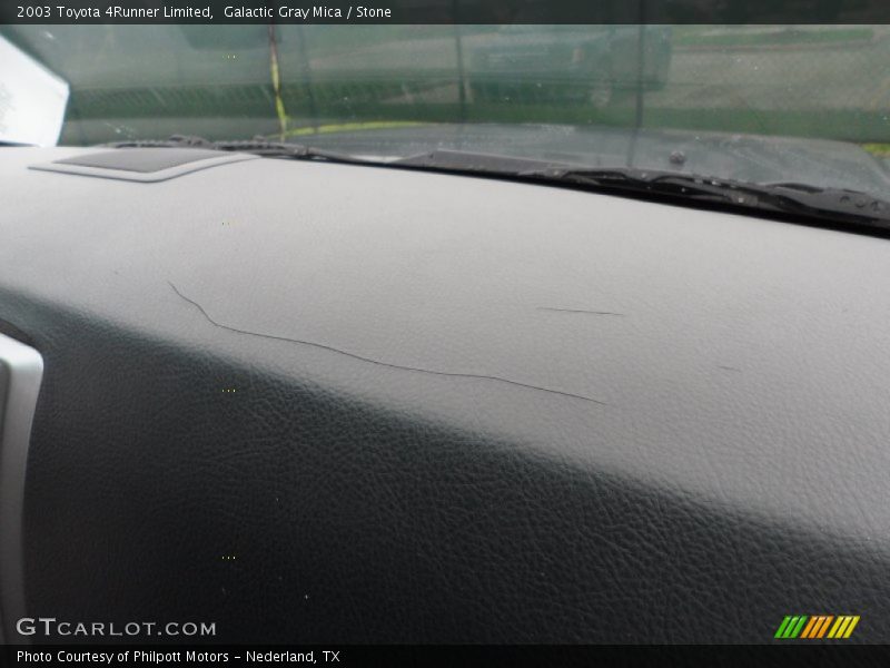 Galactic Gray Mica / Stone 2003 Toyota 4Runner Limited