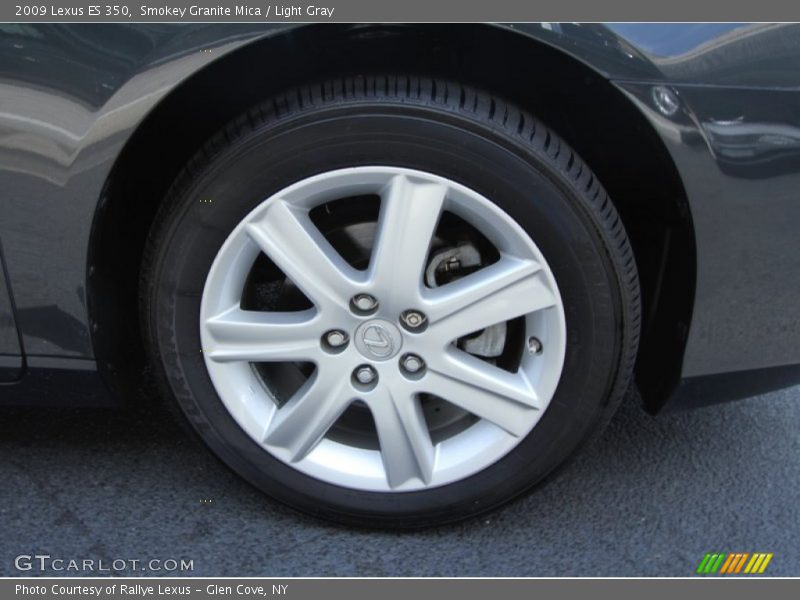 Smokey Granite Mica / Light Gray 2009 Lexus ES 350