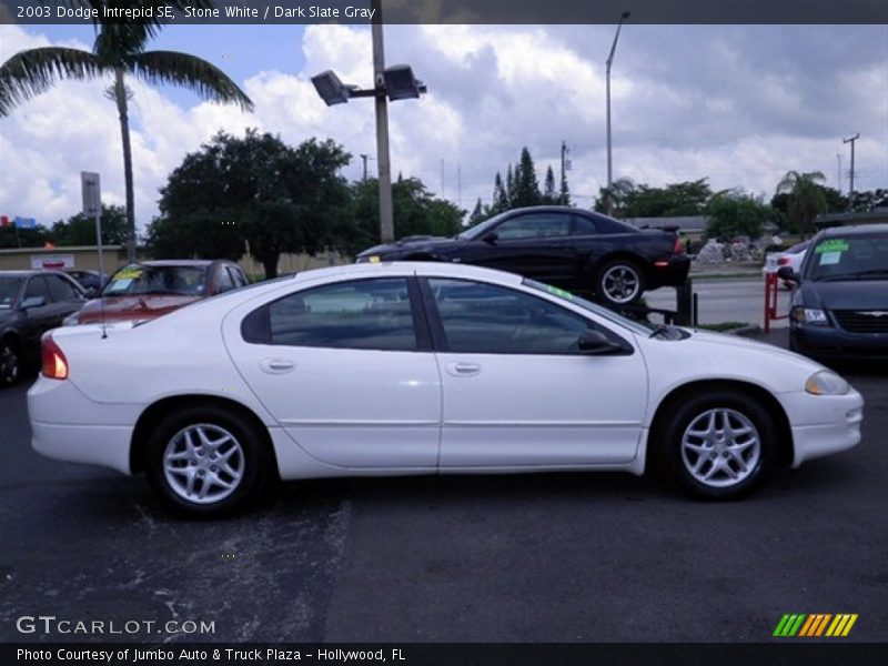 Stone White / Dark Slate Gray 2003 Dodge Intrepid SE