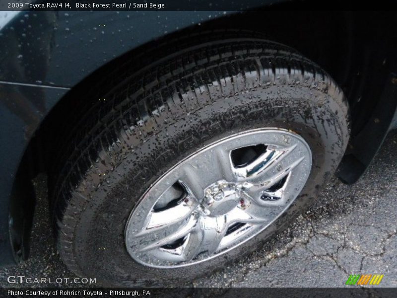 Black Forest Pearl / Sand Beige 2009 Toyota RAV4 I4