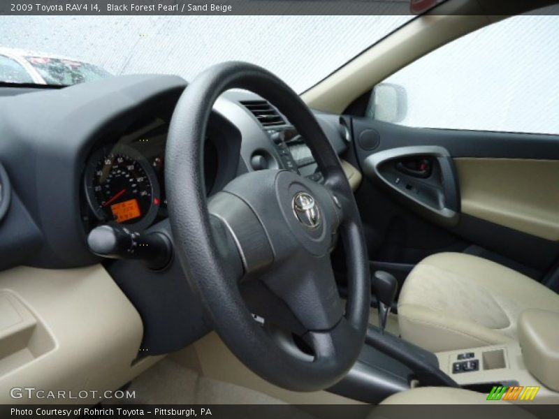 Black Forest Pearl / Sand Beige 2009 Toyota RAV4 I4