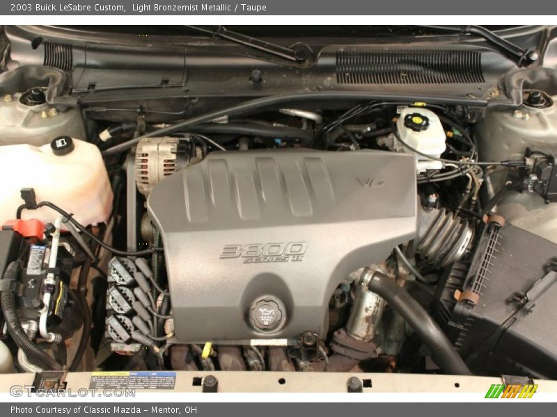 Light Bronzemist Metallic / Taupe 2003 Buick LeSabre Custom