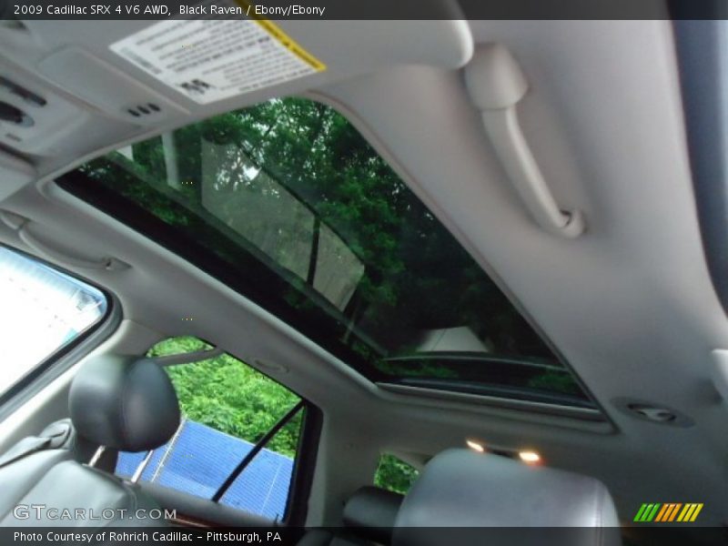 Black Raven / Ebony/Ebony 2009 Cadillac SRX 4 V6 AWD