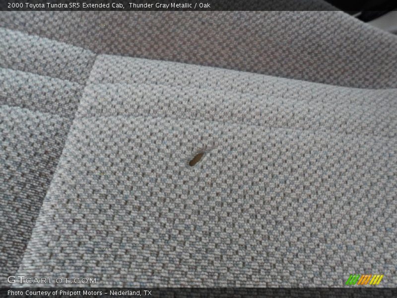 Thunder Gray Metallic / Oak 2000 Toyota Tundra SR5 Extended Cab